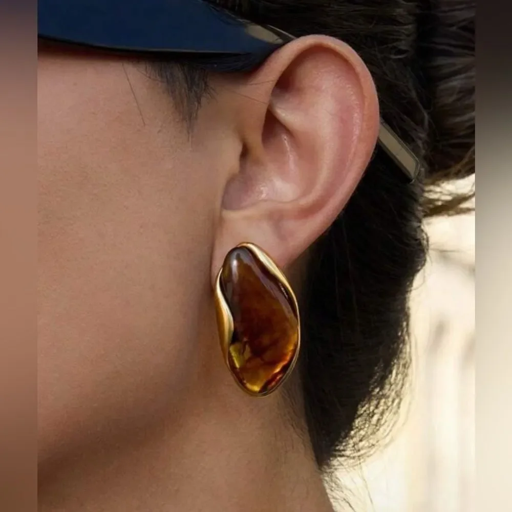 Brown stone Earrings Q844